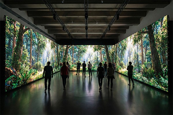 Immersive Experience Space