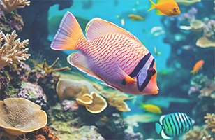 Close-up of traditional SMD LED pixels showing grain